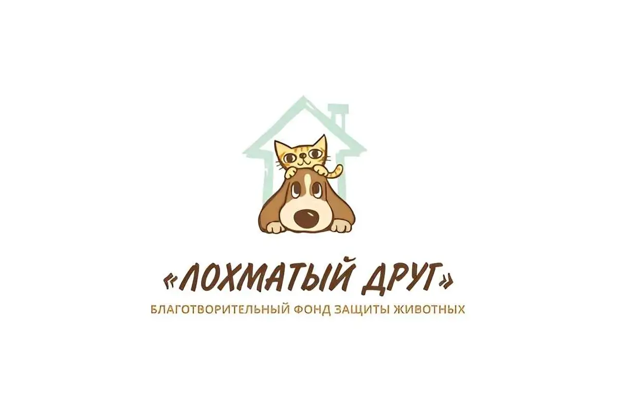 Благотворительный фонд «Лохматый Друг»