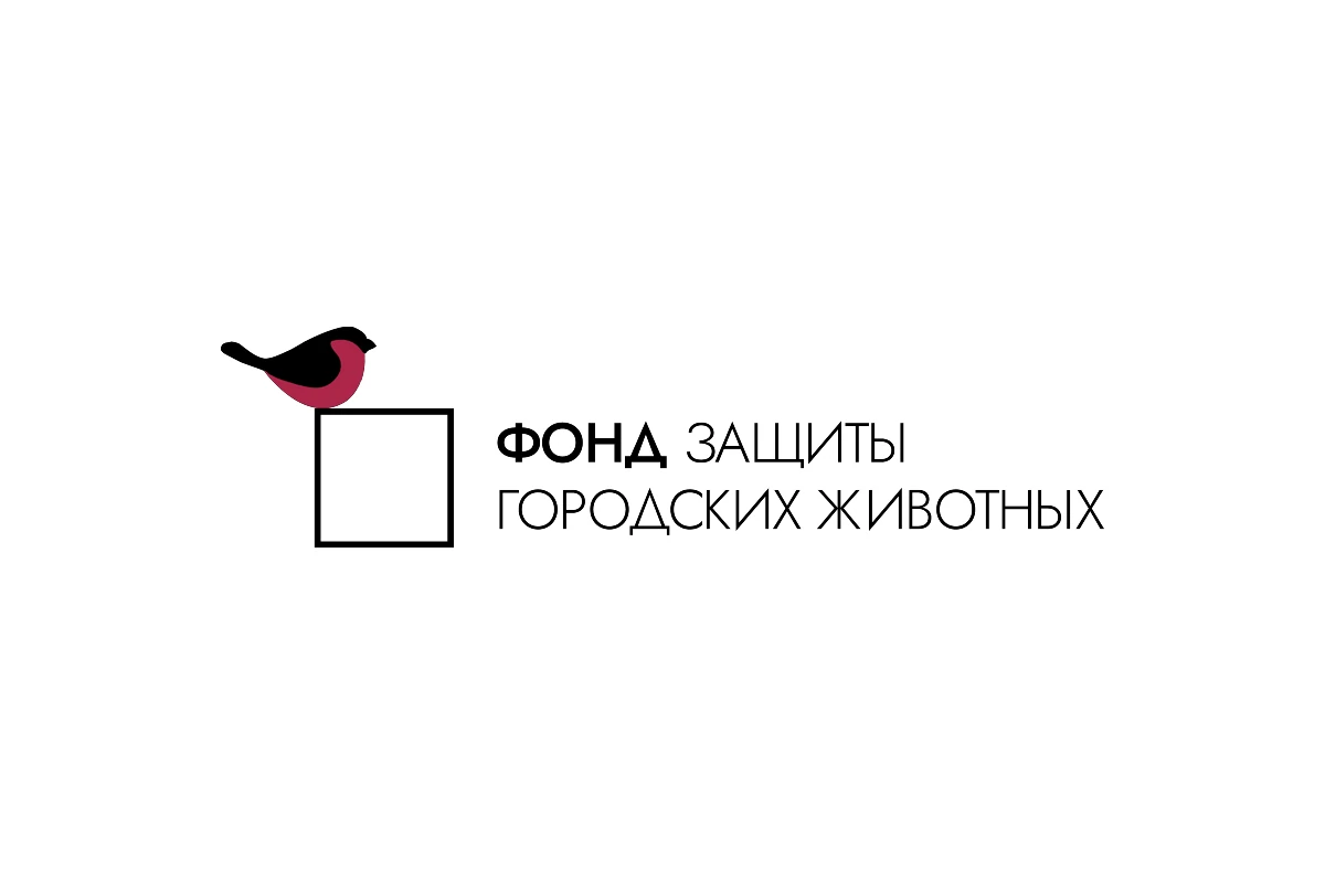 Фонд защиты городских животных